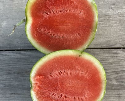 red seedless watermelon
